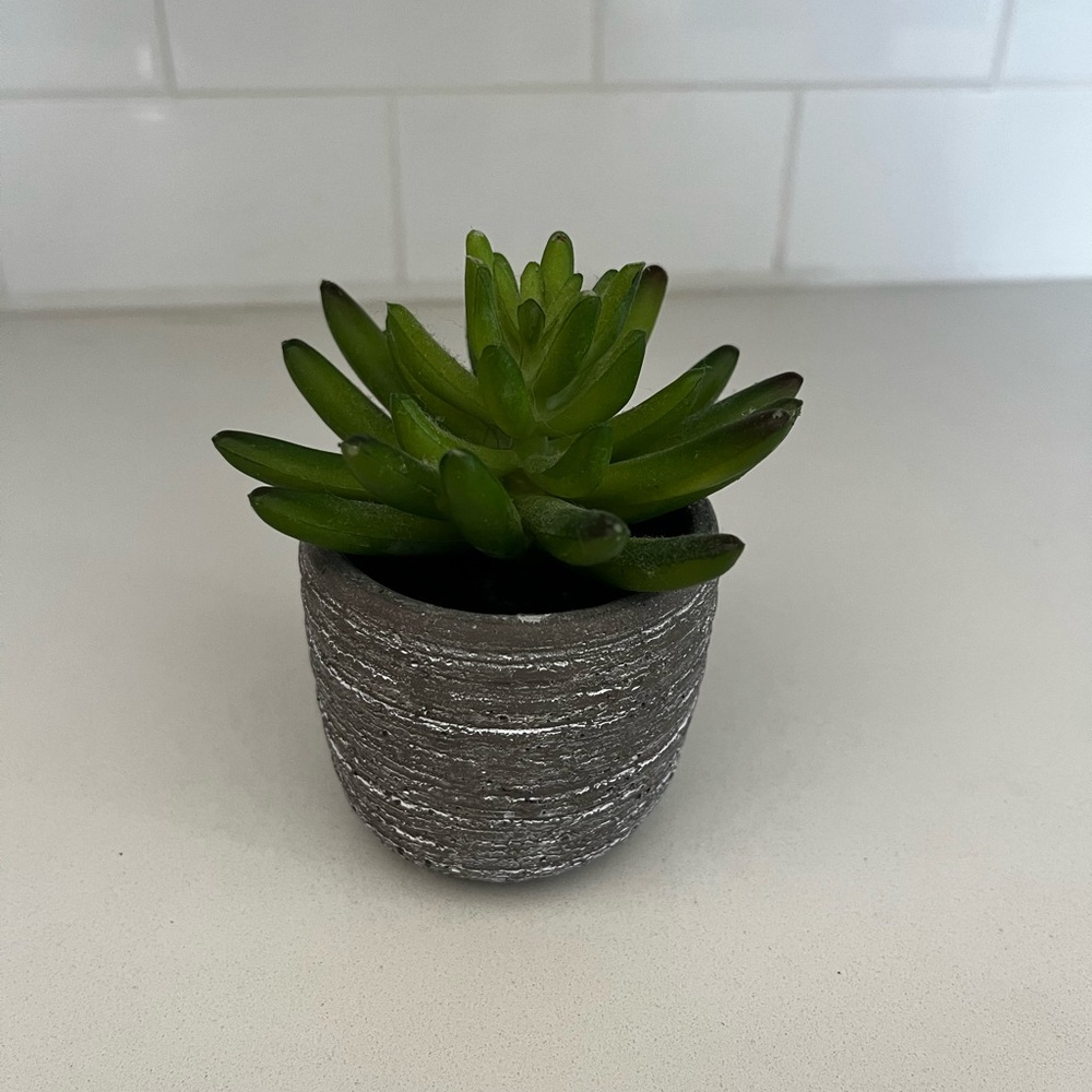 Fake plant